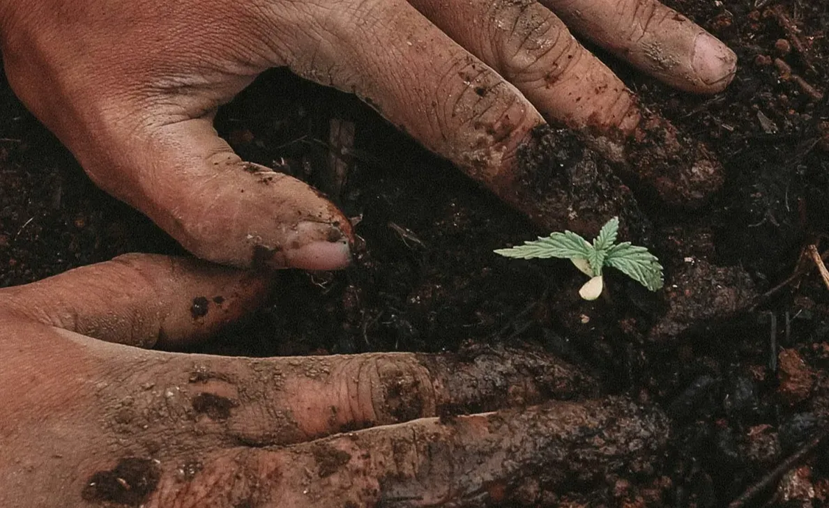 Digital (Handy) detox