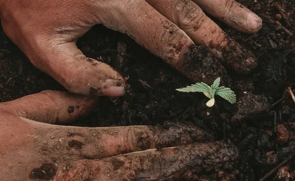 Digital (Handy) detox