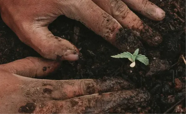 Digital (Handy) detox